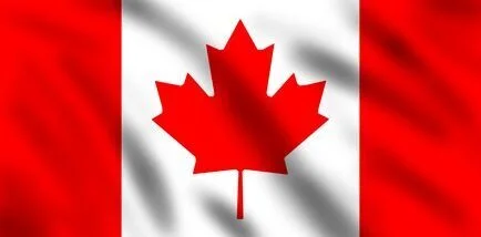 Job Opportunities and Skilled Worker Programs in Canada